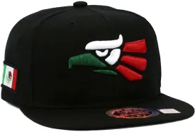 Mexican Mexico Hat Hecho En Mexico Eagle Aguila Snapback Flat Bill Baseball Cap